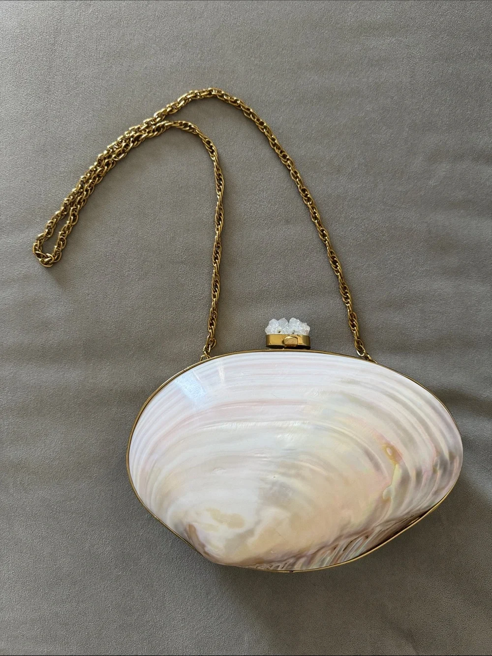 Genuine Mother of Pearl Clutch Purse Abalone Quartz Chain Seashell Bag 🧜🏻‍♀️🐚